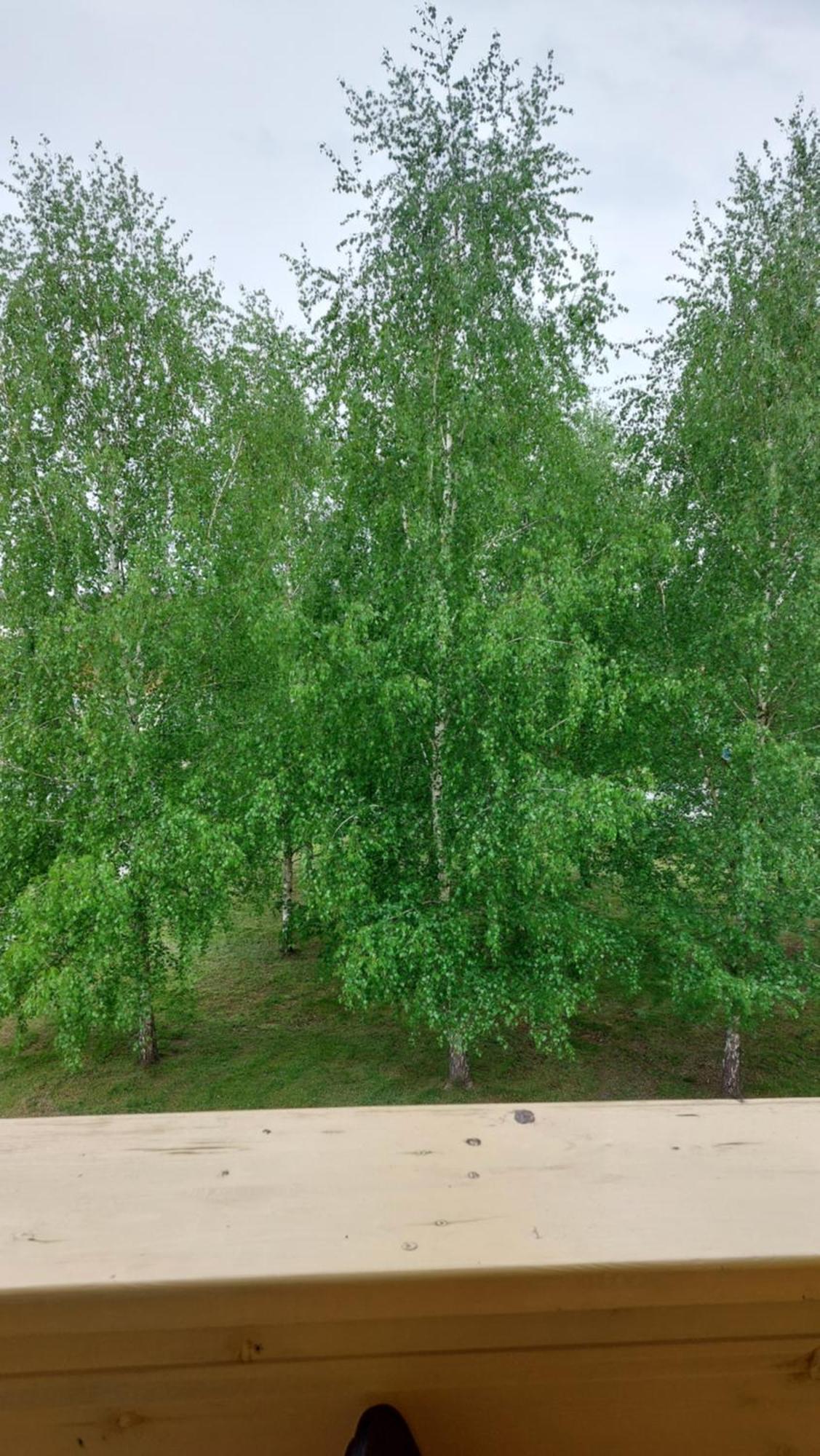 Apartamentai Gertruda Друскининкай Экстерьер фото